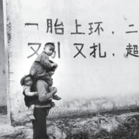 生育觀念與市場驅動下的“急迫”生育行業洞察